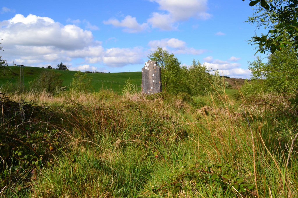 Swinford Famine and Paupers Graveyard at the beginning of project. 
