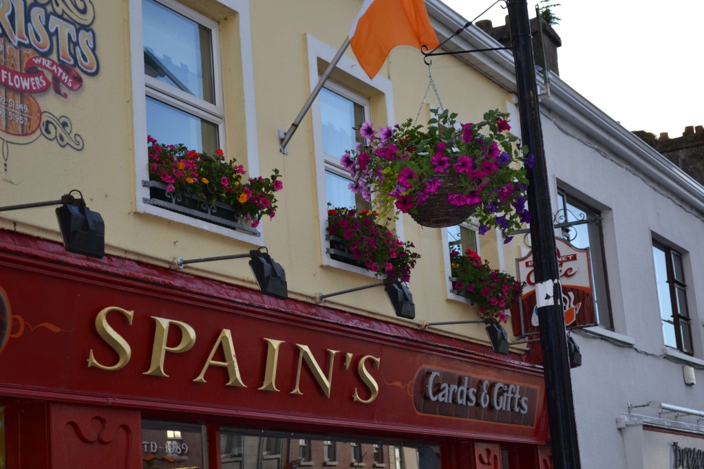 Street Lamp Posts Hanging Baskets