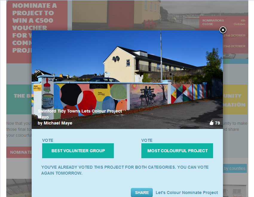 Vote For Swinford Lets Colour Project