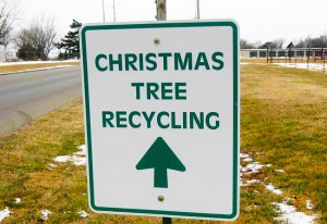 christmas tree recycling sign