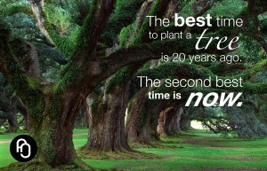 best time to plant a tree is now
