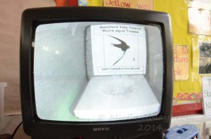 Swinford national school Green Schools Swift Project