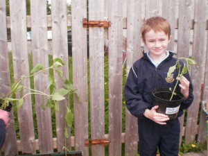 Swinford national school 5th green flag
