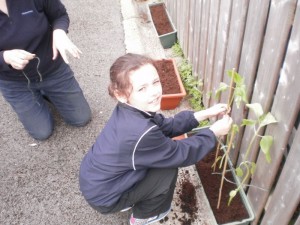 Swinford national school 5th green flag