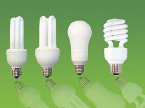 energy efficient light bulbs