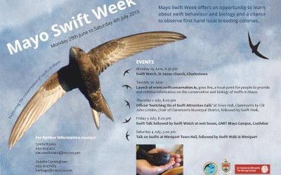 Mayo Swift Week 2015