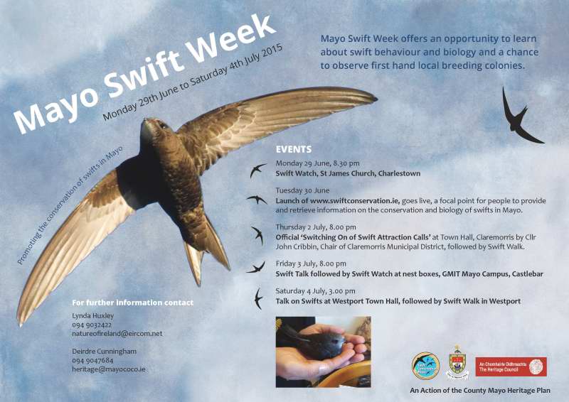 Mayo Swift week 2015