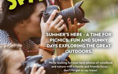 Say Trees Photo Competition