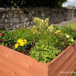 New box planters in Swinford