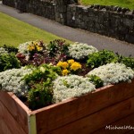 New box planters in Swinford