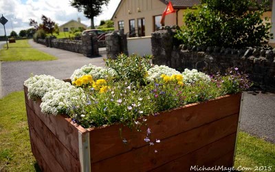 New Box Planters