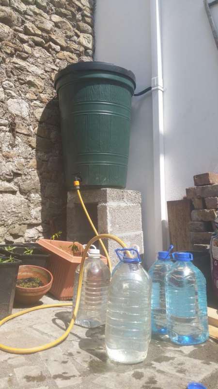 Rainwater harvesting project 250 litre water butt