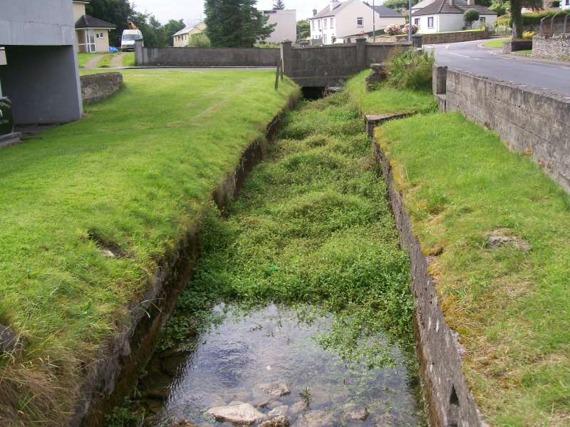Swinford Stream Clean UP