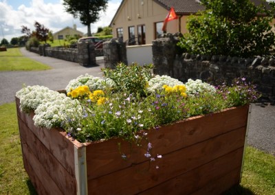 Kiltimagh Road Planters