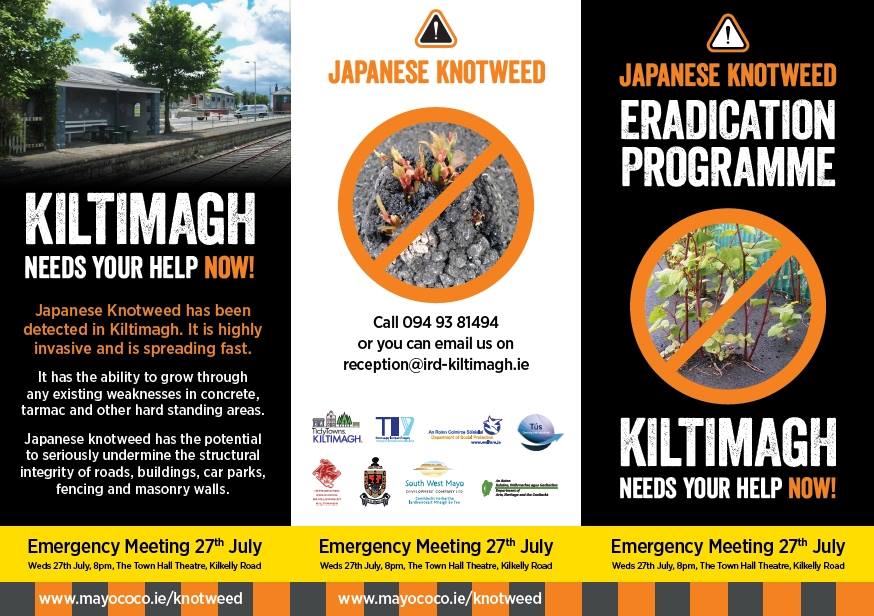 Japanese Knotweed Mayo Meetings