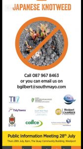 Japanese Knotweed-westport meeting