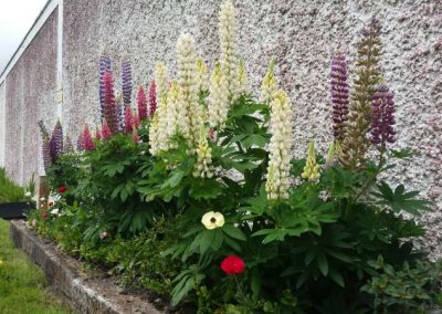 Swinford ESB Wall Flowerbed