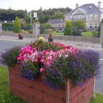 swinford-planters-blooming-2016-