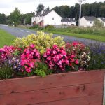 swinford-planters-blooming-2016-