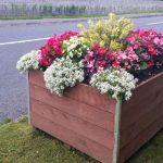 swinford-planters-blooming-2016-