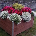 swinford-planters-blooming-2016-