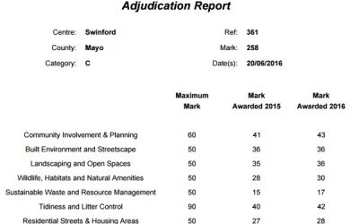 2016 National Tidy Towns Winners Announced