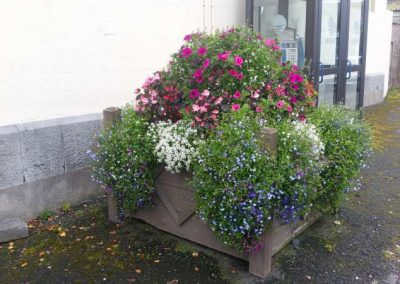 Swinford Courthouse Planter