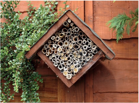 How To Build A Bee Hotel