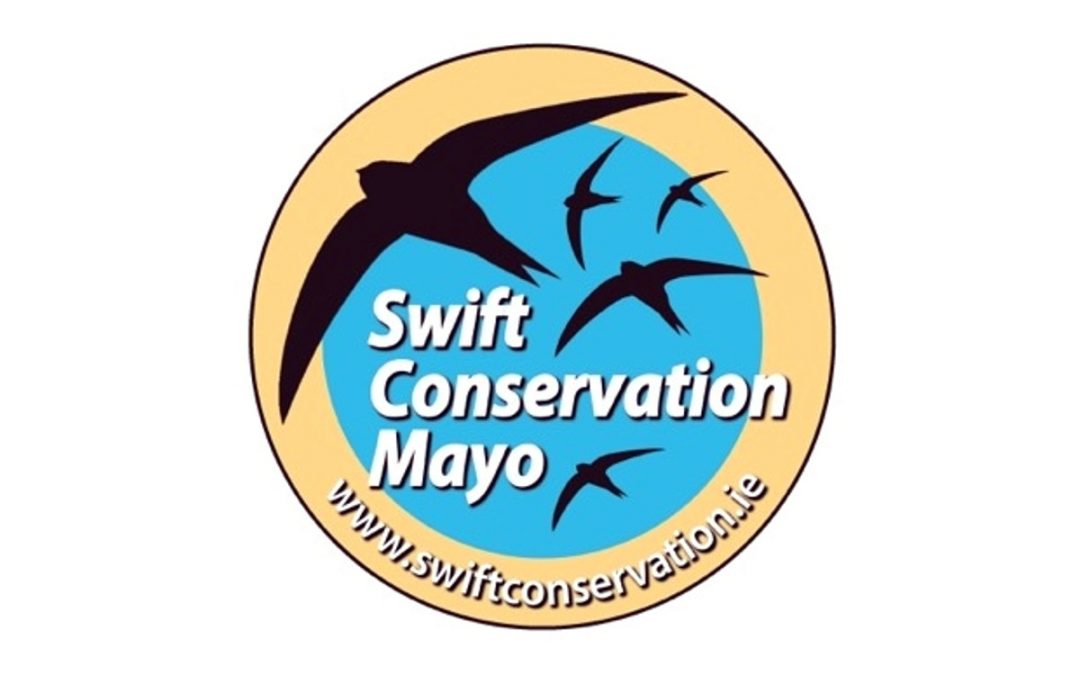 Swifts Walk & Talk