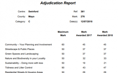 2018 National Tidy Towns Winners Announced