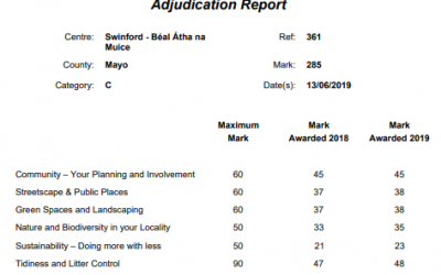 2019 Tidy Towns Results Swinford