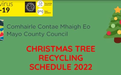 Christmas Tree Recycling 2022