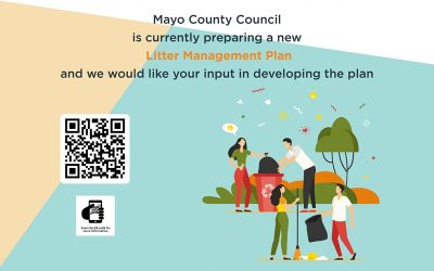 Mayo Litter Management Plan Survey