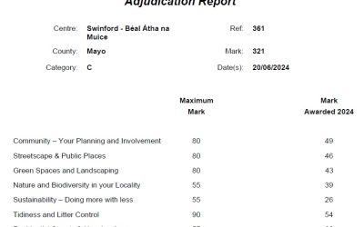 National Tidy Towns Awards 2024