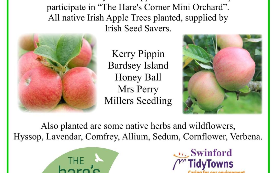 Dun Na Ri Community Orchard