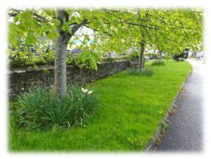 Bridge wall flowerbed