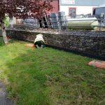 Bridge wall flowerbed project 2024