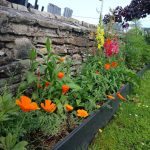 Bridge wall flowerbed project 2024