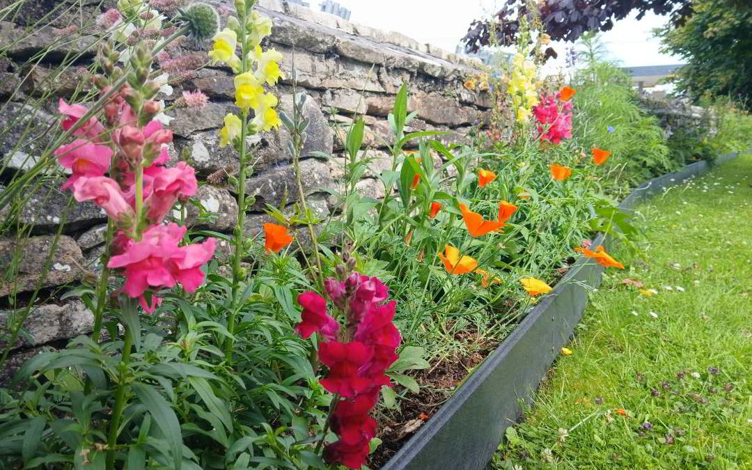 Bridge Wall Flowerbed