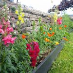 Bridge wall flowerbed project 2024