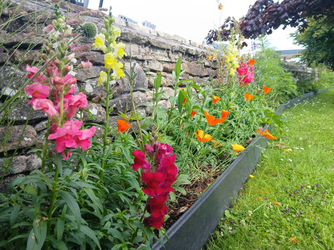 Bridge wall flowerbed project 2024