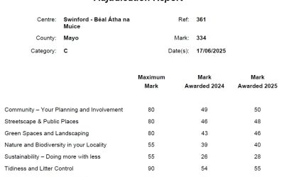 National Tidy Towns Awards 2025